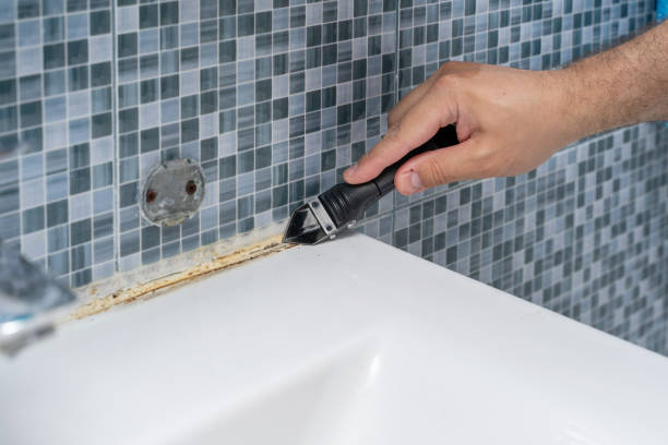 Certified Mold Removal in Powell, TN