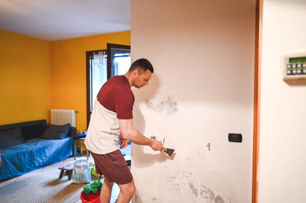 Best Toxic Mold Removal  in Powell, TN